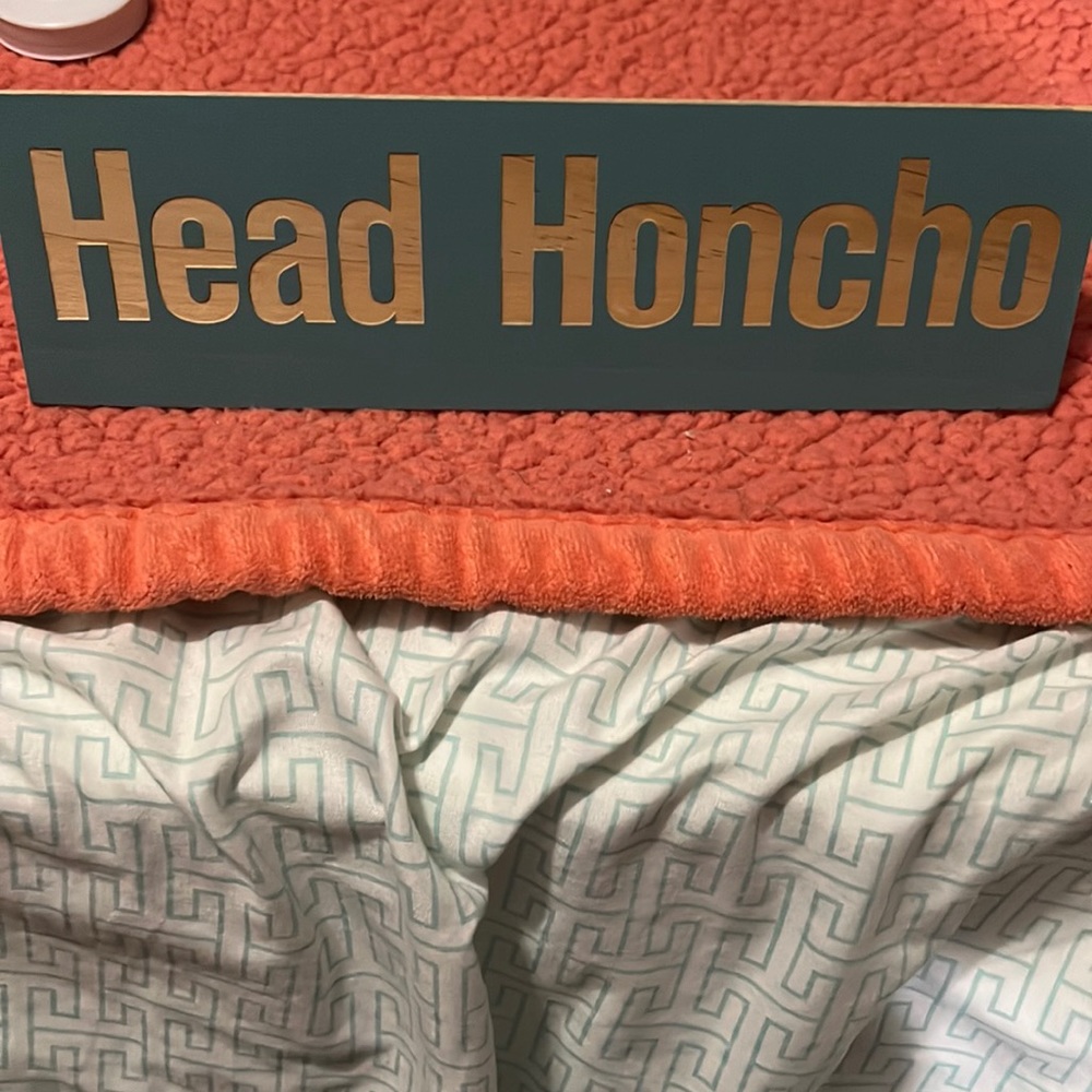 Head Honcho Office Decor